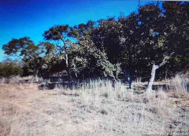 Vacant Land For Sale - 711 John Price<br/> Blanco, TX 78606