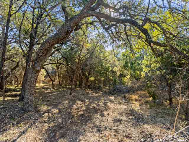 Vacant Land For Sale - 2095 Desiree Street<br/> Canyon Lake, TX 78133