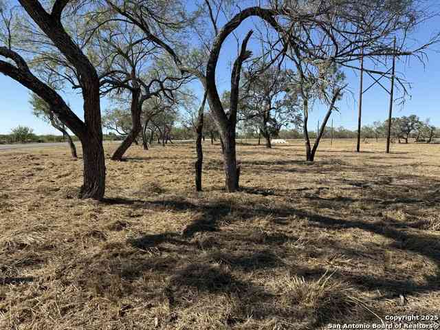 Vacant Land For Sale - 131 Cr 2644<br/> Moore, TX 78057