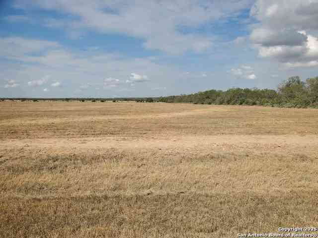Vacant Land For Sale - 1196 County Road 1670<br/> Moore, TX 78057