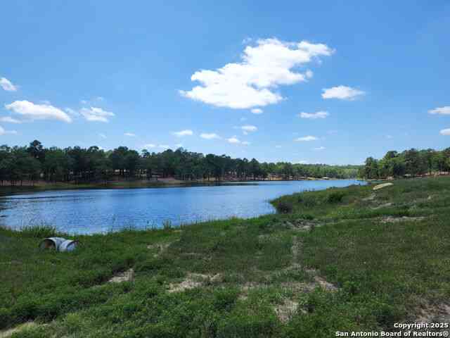 Vacant Land For Sale - TR 15 Pr 1313<br/> Centerville, TX 75833