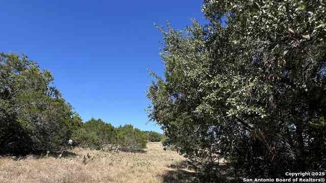 Vacant Land For Sale - 6718 Spring Branch Rd<br/> Spring Branch, TX 78070