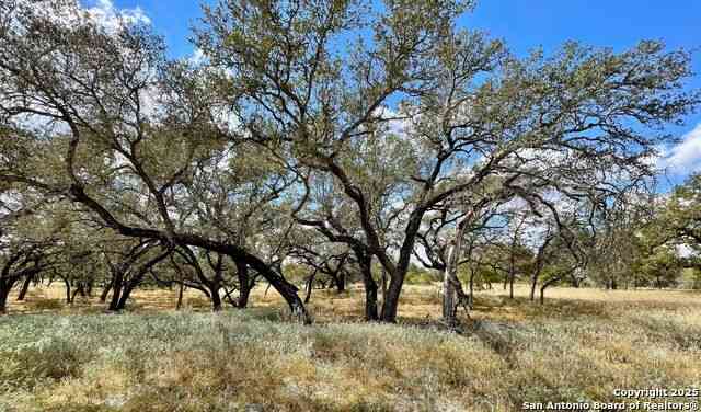 Vacant Land For Sale - 265 Firewheel Loop<br/> Wilson County, Floresville, TX 78114