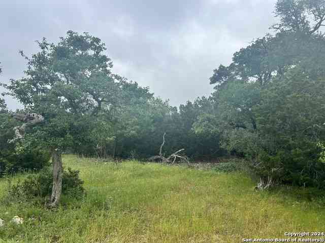 Vacant Land For Sale - 512 Lasso<br/> Canyon Lake, TX 78133