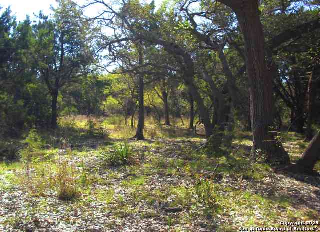 Vacant Land For Sale - 2024 Fm 3424<br/> Canyon Lake, TX 78133