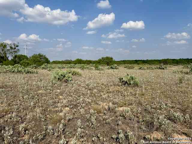 Vacant Land For Sale - TBD LOT 61 E Cr 1647<br/> Moore, TX 78057