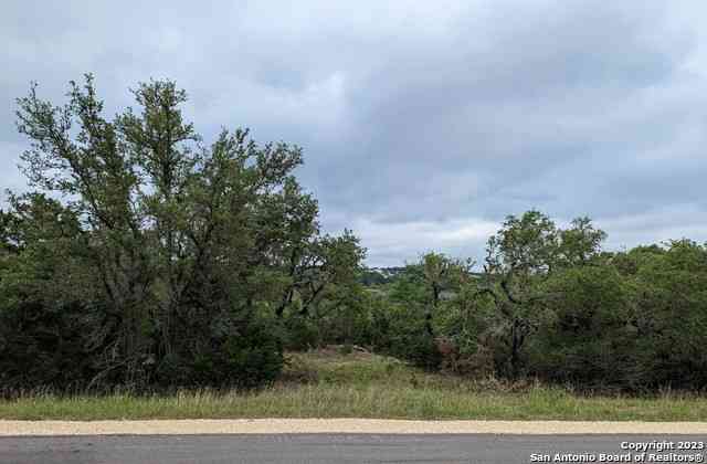 Vacant Land For Sale - 138 Oyster Springs<br/> Canyon Lake, TX 78133