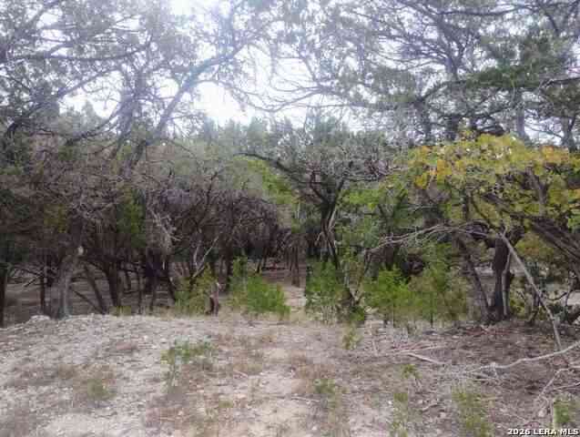 Vacant Land For Sale - Frio<br/> Bandera, TX 78003