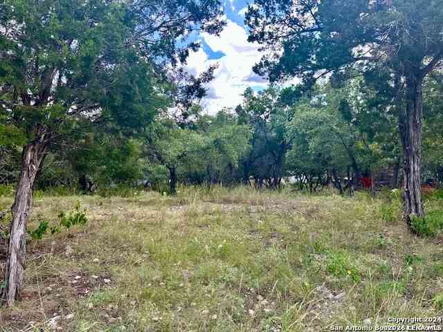 Vacant Land For Sale - 2220 Grandview<br/> Canyon Lake, TX 78133