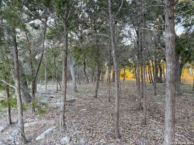 Vacant Land For Sale - 209 Legacy<br/> Canyon Lake, TX 78133