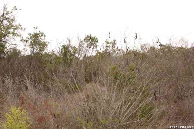 Vacant Land For Sale - TBD County Road 573<br/> Castroville, TX 78009