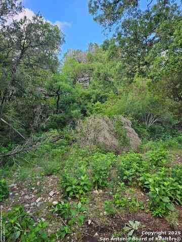 Vacant Land For Sale - Happy Hollow<br/> New Braunfels, TX 78132