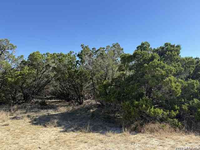 Vacant Land For Sale - LOT 90 Deer Creek<br/> Spring Branch, TX 78070