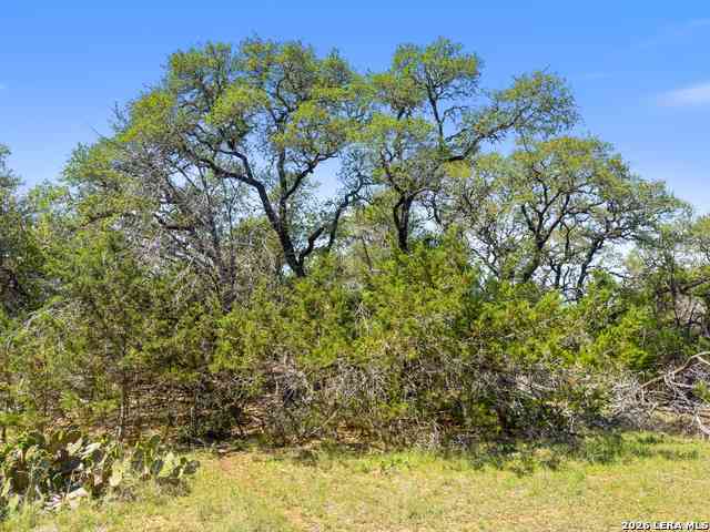 Vacant Land For Sale - 1530 Misty Lane<br/> Spring Branch, TX 78070