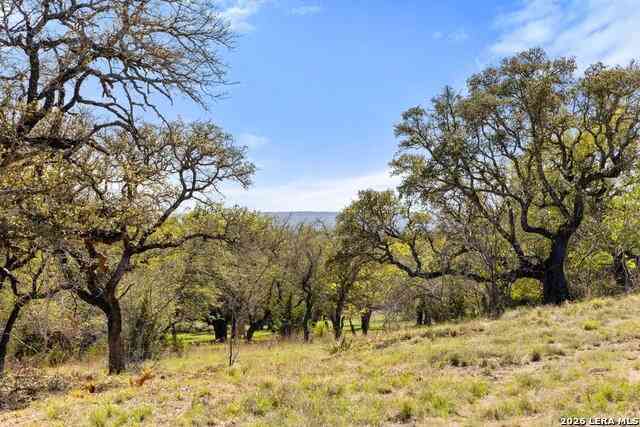 Vacant Land For Sale - 19 Stone Ridge Mountain Dr<br/> Blanco County, Round Mountain, TX 78663