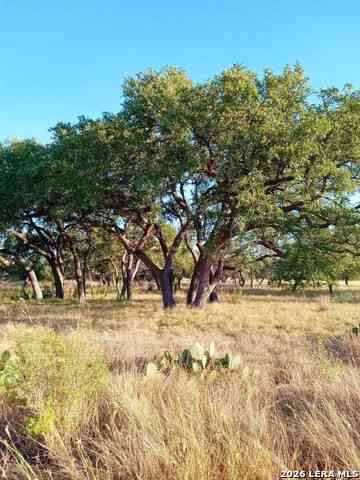 Vacant Land For Sale - LOT 142 Mulder Dr<br/> Center Point, TX 78010