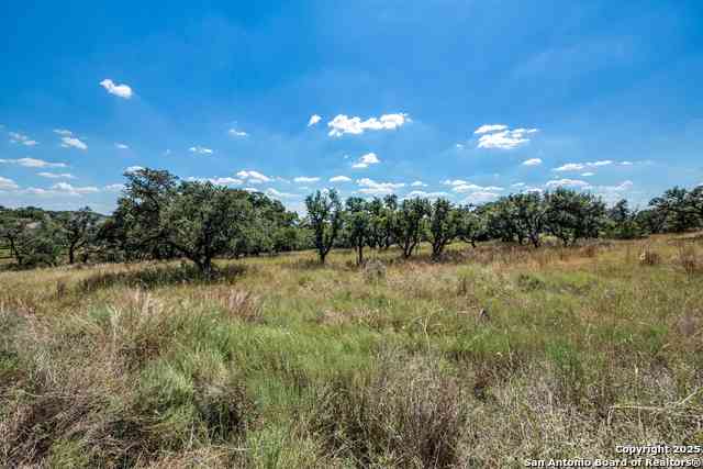 Vacant Land For Sale - 190 Fallen Acorn Dr<br/> Blanco, TX 78606