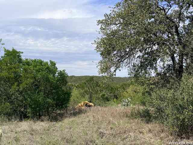 Vacant Land For Sale - 686 County Road 2700<br/> Mico, TX 78056