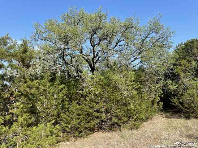 Vacant Land For Sale - 1865 Stallion Springs Dr<br/> Fischer, TX 78623