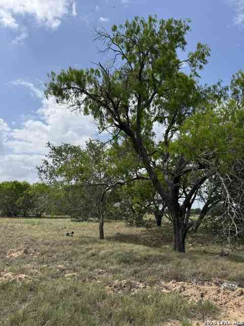 Vacant Land For Sale - 00 County Road 405<br/> Wilson County, Floresville, TX 78114