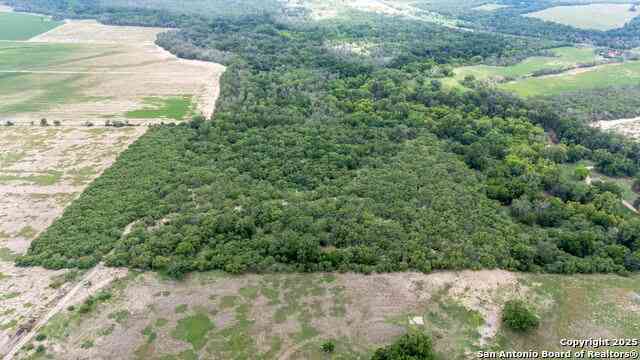 Vacant Land For Sale - 15828 Fm 775<br/> Floresville, TX 78114