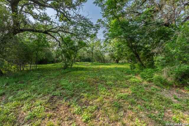 Vacant Land For Sale - 224 County Road 662<br/> Devine, TX 78016