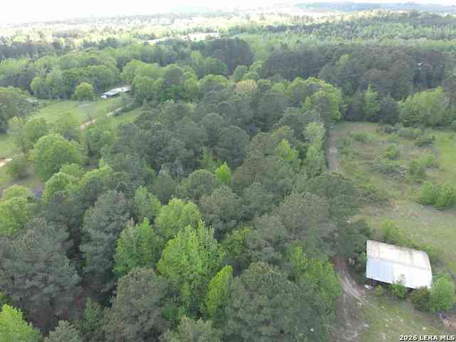 Vacant Land For Sale - County Road 2228<br/> Douglassville, TX 75560