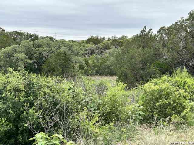 Vacant Land For Sale - 3726 Summer Breeze Ln<br/> San Antonio, TX 78253