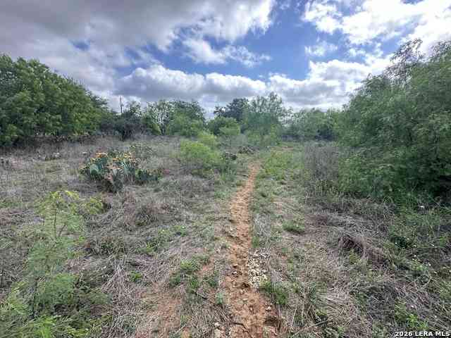 Vacant Land For Sale - 17603 Shepherd Rd<br/> Atascosa, TX 78002