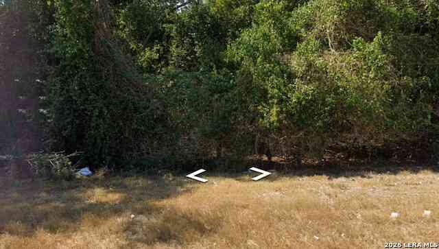 Vacant Land For Sale - 719 Water<br/> Gonzales, TX 78629