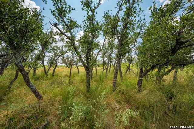 Vacant Land For Sale - 1445 Cave Wells Rd.<br/> Fort McKavett, TX 76841