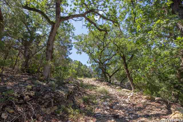 Vacant Land For Sale - 625 County Road 2763<br/> Mico, TX 78056