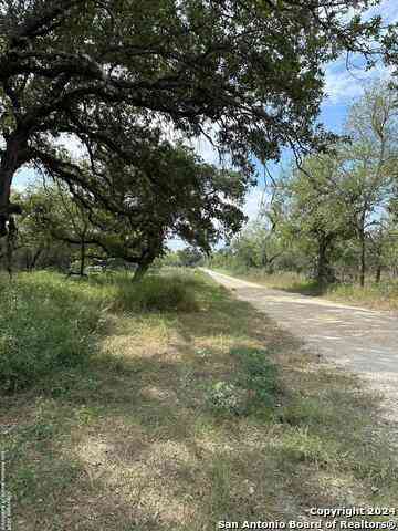 Vacant Land For Sale - 20594 S State Highway 16<br/> Atascosa, TX 78264