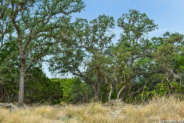 Vacant Land For Sale - 08 W Bison Way<br/> Harper, TX 78631