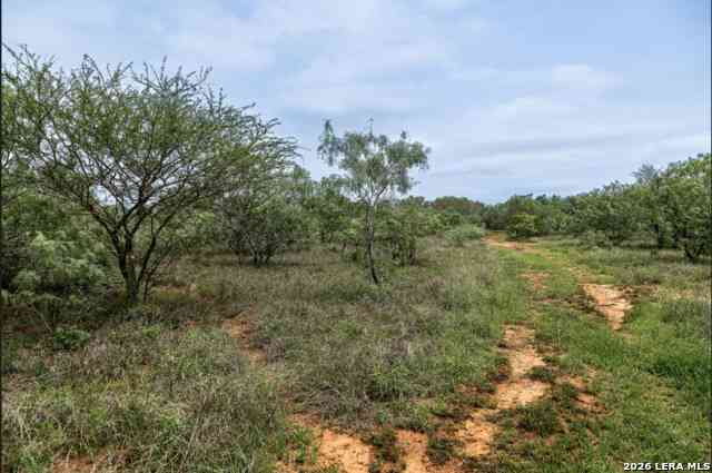 Other For Sale - County Road 106<br/> Wilson County, Floresville, TX 78114
