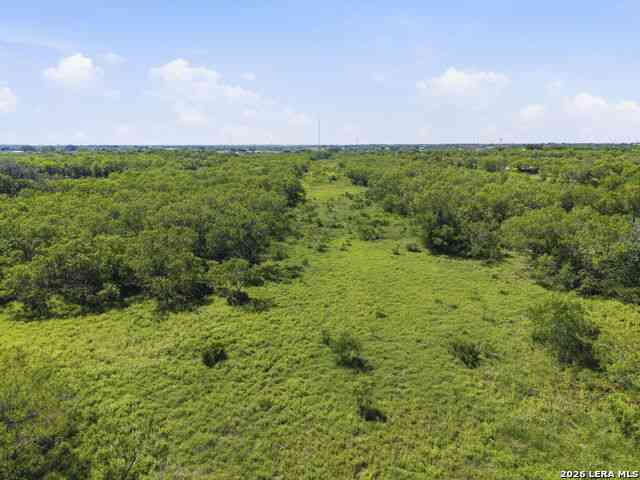 Vacant Land For Sale - 00 Cr 329<br/> Wilson County, Floresville, TX 78114