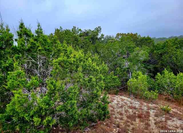 Vacant Land For Sale - 193 Appaloosa Dr<br/> Fischer, TX 78623