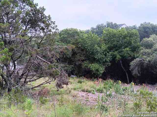 Vacant Land For Sale - 421 Lexington Pass<br/> Canyon Lake, TX 78133