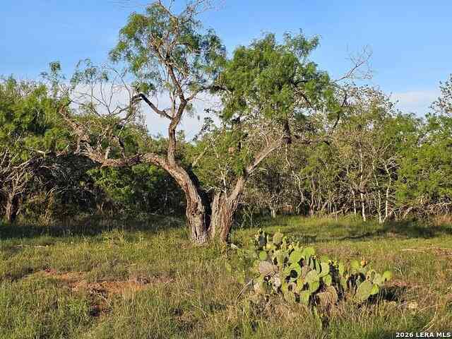 Vacant Land For Sale - 845 Campobella Ln<br/> Kingsbury, TX 78638