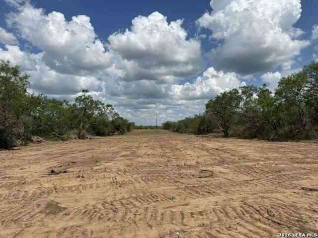 Vacant Land For Sale - 533 County Road 477<br/> Wilson County, Stockdale, TX 78160