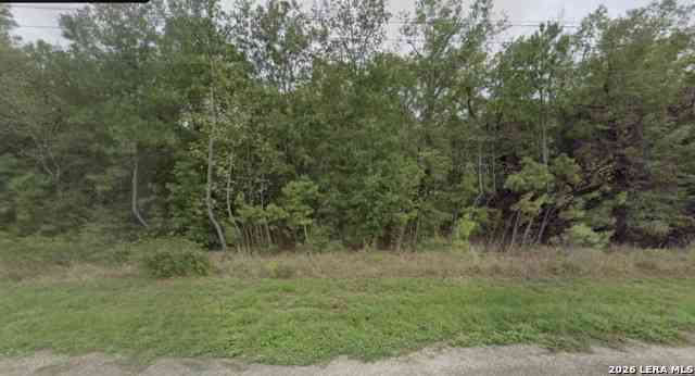 Vacant Land For Sale - TBD W I-10<br/> Wallisville, TX 77597