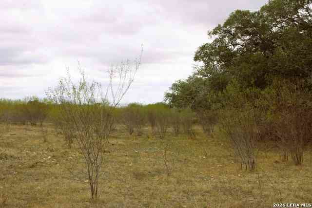 Other For Sale - Fm 3353<br/> Kingsbury, TX 78155
