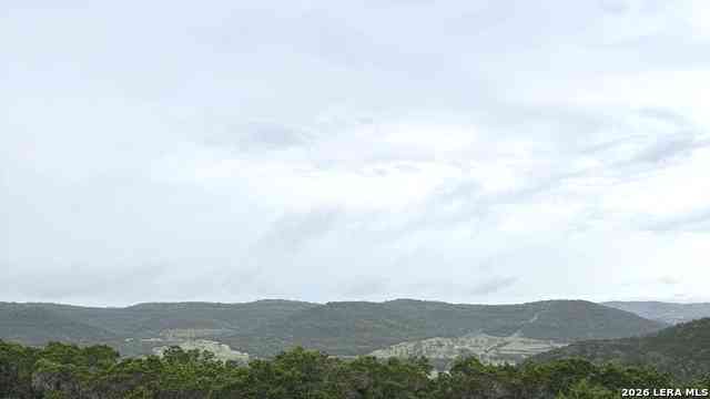 Vacant Land For Sale - PR 1718 LOT 42 Pr 1718<br/> Mico, TX 78056