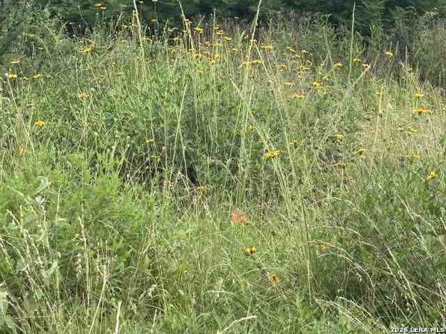 Vacant Land For Sale - Cr 1515<br/> Moore, TX 78057