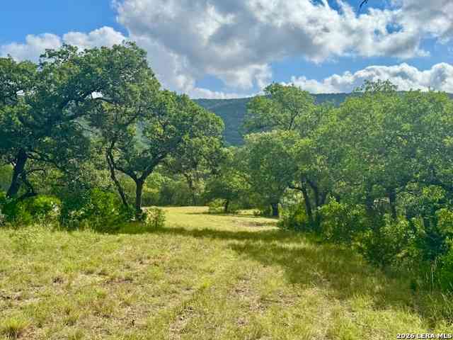Other For Sale - John Buchanan Rd<br/> Real County, Leakey, TX 78873