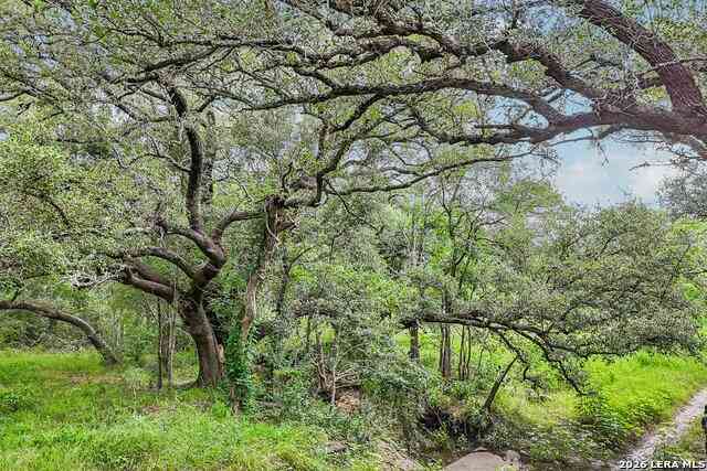 Vacant Land For Sale - 1617 Blue Creek Rd<br/> La Vernia, TX 78121