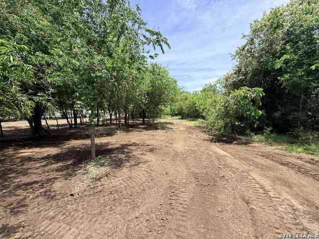 Vacant Land For Sale - 1 ACRE Fm 471<br/> Natalia, TX 78059