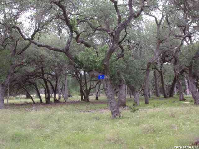 Vacant Land For Sale - 115 La Luna Dr<br/> Blanco, TX 78606
