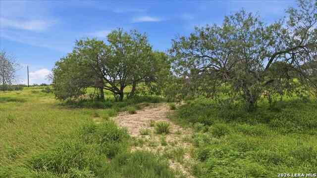Vacant Land For Sale - 3187 Highway 72<br/> Three Rivers, TX 78071