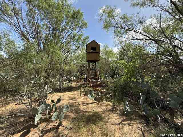 Other For Sale - 12579 Fm 2779<br/> Frio County, Moore, TX 78057